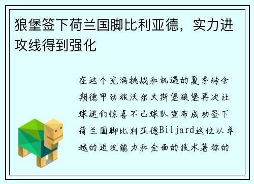 狼堡签下荷兰国脚比利亚德，实力进攻线得到强化
